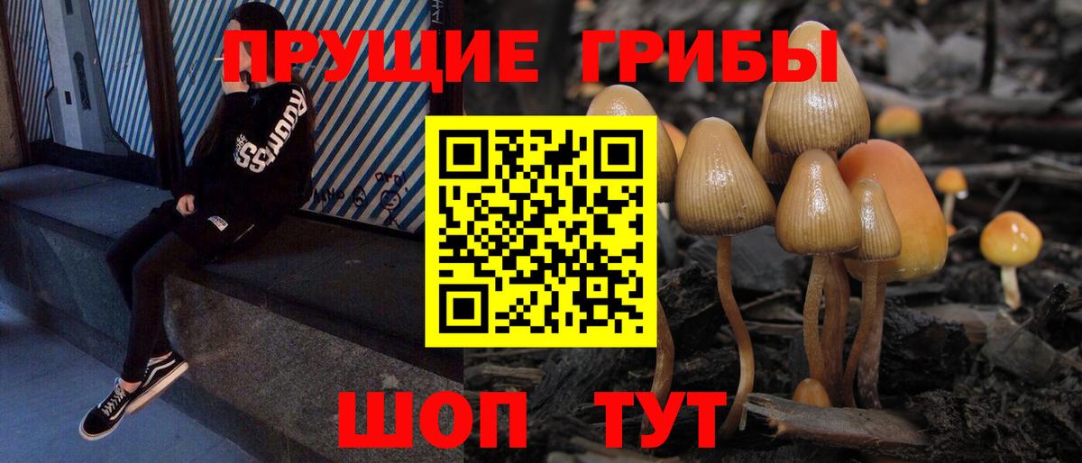 цены   Вход с VPN  Сегежа  Галлюциногенные грибы мухоморы 
