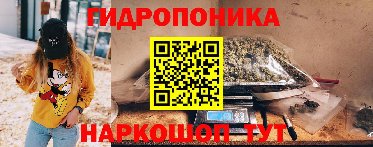 Конопля THC 21%  Бошки марихуана Ganja  Вход с VPN  Конопля семена  Сегежа  Марихуана сатива 